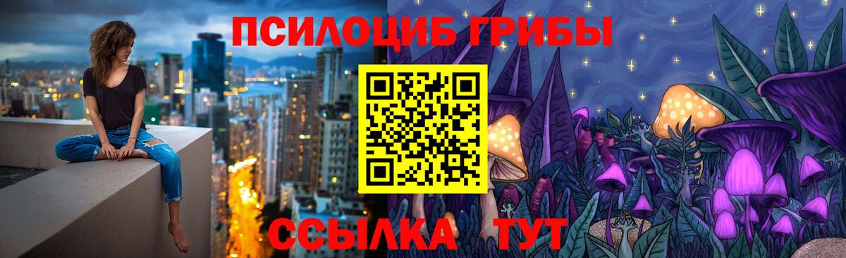 Псилоцибиновые грибы MAGIC MUSHROOMS  Вход с VPN  Пушкино 