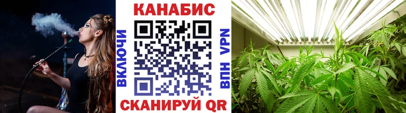 купить наркотики сайты  Пушкино  Бошки марихуана тримм 
